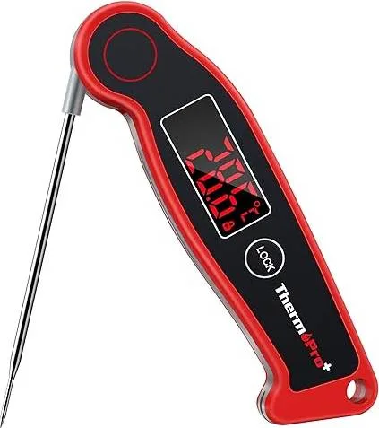 ThermoPro Tp19